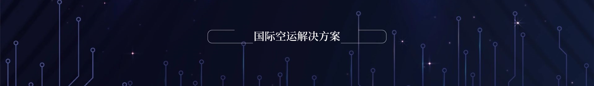 服务项目